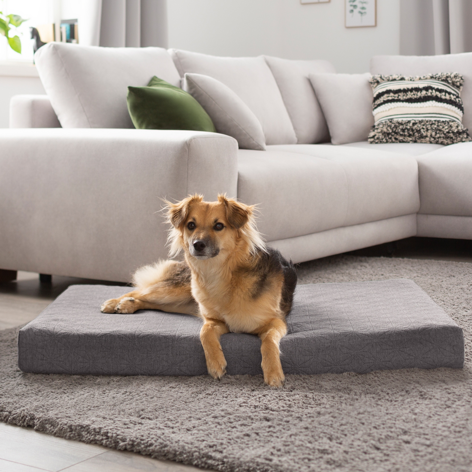 ortopedicky-matrac-pre-psa-a-macku-72x50x10cm-siva-svetla